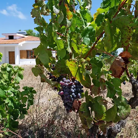 Vakantiehuis La Leonessa